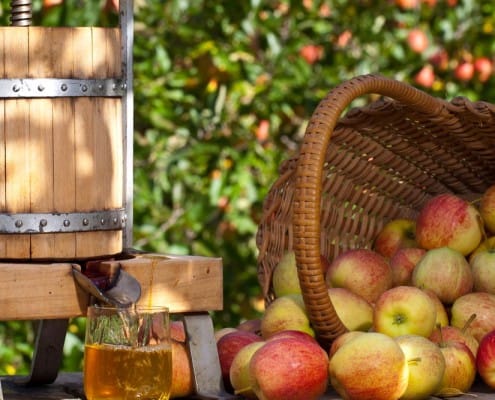 A basket of apples, apple press and glass of apple juice.