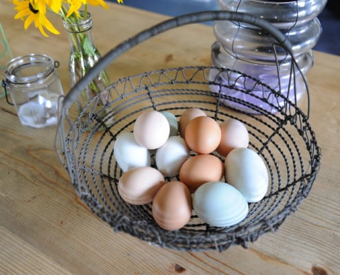 Fresh eggs from the Brownscombe farm